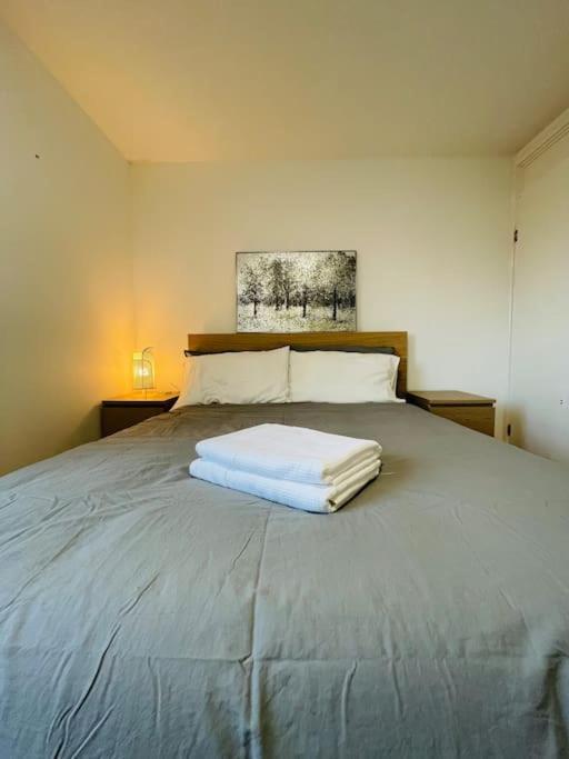 Lovely Duplex Apartment In Edinburgh City Centre ภายนอก รูปภาพ